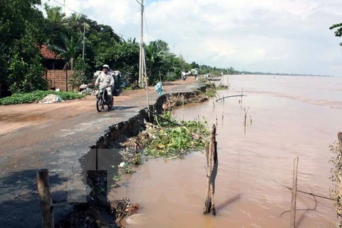 Mekong Delta asked to develop urban areas adaptive to climate change