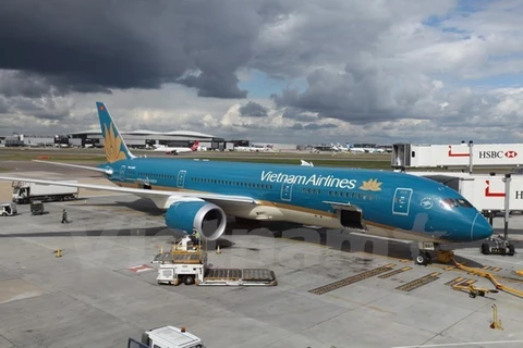 Vietnam Airlines to complete negotiations with investor this year