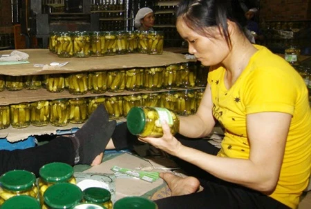 Record year for starting business in Vietnam