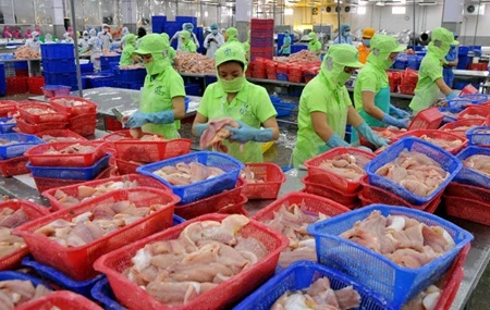 Tra fish export forecast to drop 5 percent this year