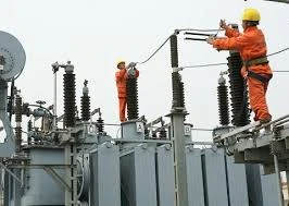 Vinh Long to develop rural electricity network 
