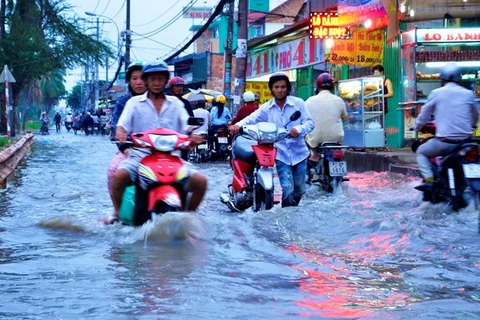 HCM City spends 437 million USD combating floods
