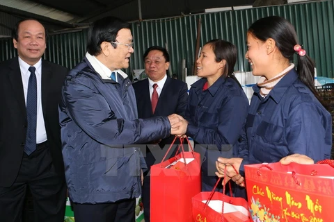 President pays pre-Tet visits to Hung Yen, Ha Nam