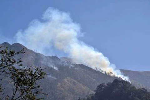 Forest fire breaks out in Hoang Lien Son National Park during Tet