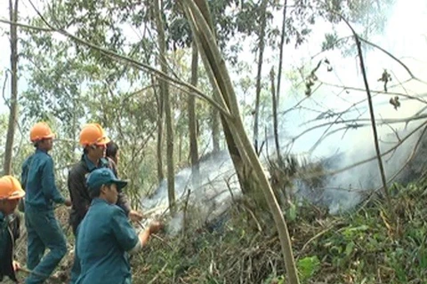 Tay Ninh rolls out drastic solutions to forest fires 