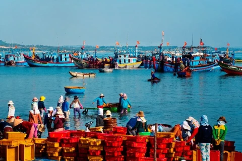 Exhibition features beauty of Hoang Sa Flotilla’s homeland 