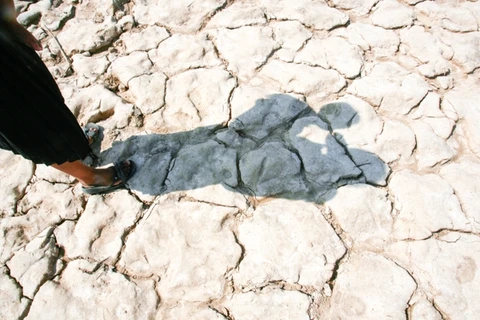 Almost all provinces in Cambodia facing drought