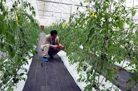 Smart farming a bright future for Vietnam