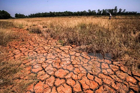 Texting campaign raises funds for drought, salinity-hit areas 