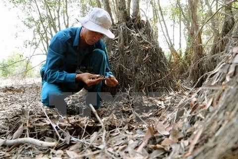 Seawater intrudes Ramsar sites in Mekong Delta 