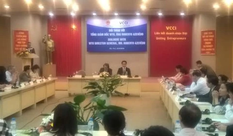 Vietnam makes good use of WTO chances: WTO head 