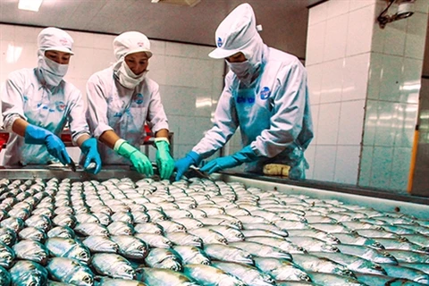  Vietnam’s seafood exports to benefit from TPP
