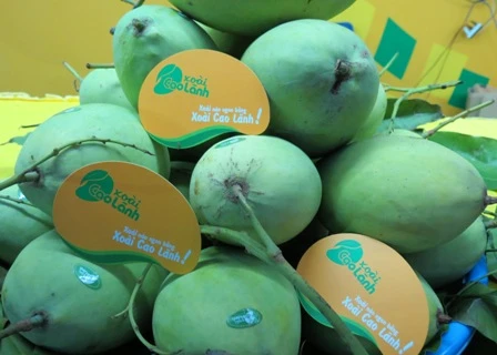 Dong Thap promotes fruit exports 