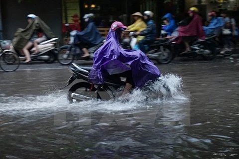 Hanoi struggles with heavy flooding 