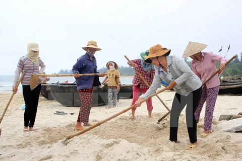 Deputy PM inspects damages from mass fish deaths in Quang Tri