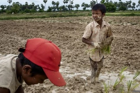 2.5 million Cambodians affected by severe drought