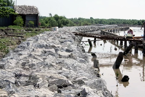 Nearly 18 bln VND for Ca Mau’s recovery from drought, saline intrusion