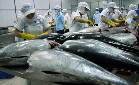 Vietnam’s tuna exports decline 5.5 percent in Q1 