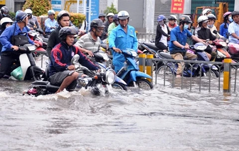 HCM City, experts reject flood control proposal 