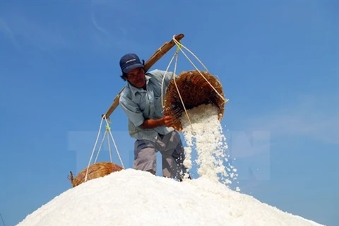 Deputy PM urges salt purchases to help farmers