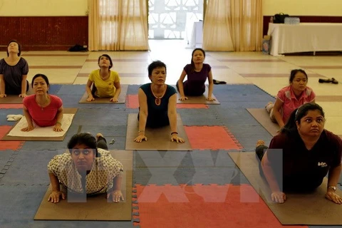 Da Nang programme responds to Int’l Yoga Day 