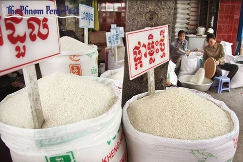 Cambodia’s rice export sees decrease in H1 