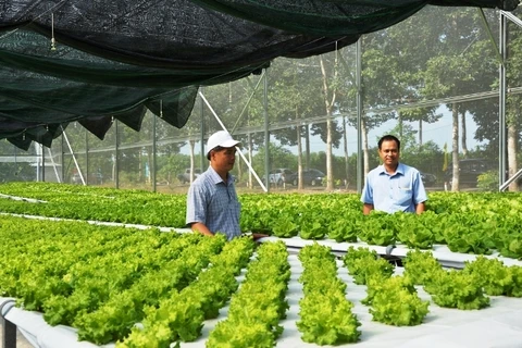 Binh Phuoc high-tech farming centre opens