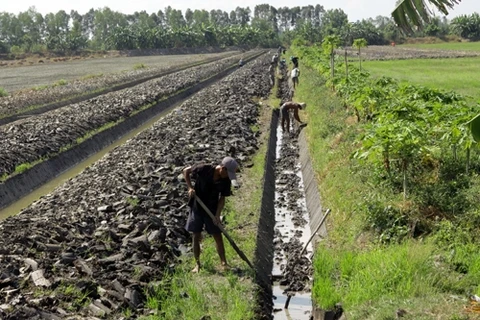 Fewer Mekong fields used for cash crops