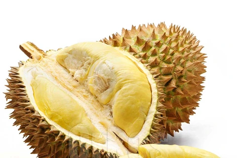 Thai gov’t to stimulate durian exports to Hong Kong