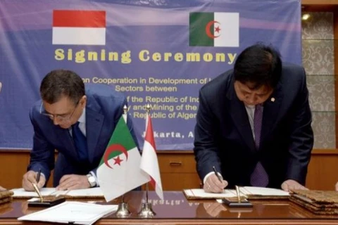 Algeria, Indonesia intensify cooperation in industry