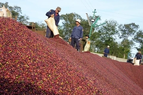 Coffee firms want State help