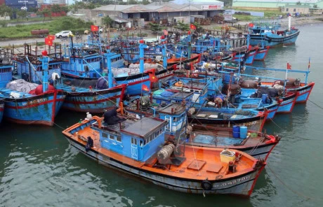 Fishing fleet in Thanh Hoa boosts capacity