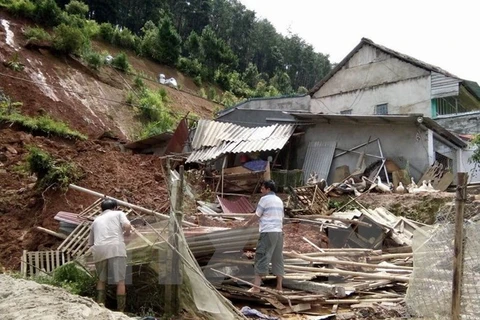 Casualties in storm Dianmu climb to seven, two still missing