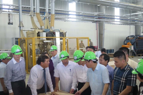 Major wood processing factory operational in Nghe An province