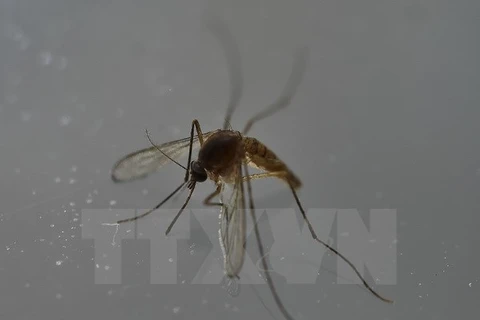 Philippines confirms sixth case of Zika 