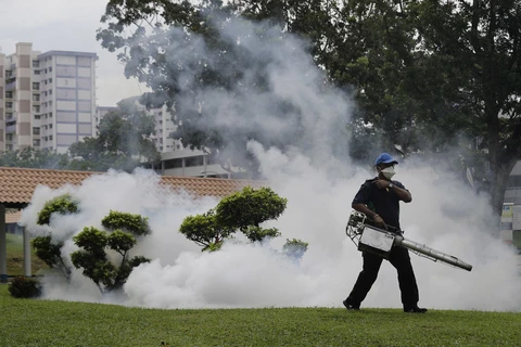 Singapore reports drop in new Zika infections