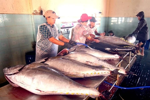 Vietnam’s tuna exports up slightly