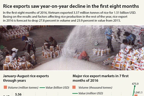 Rice exports see sharp drop in eight months