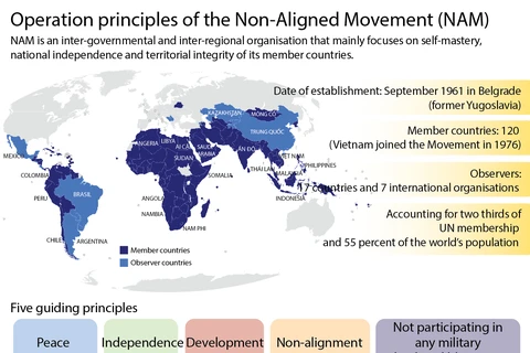 Operation principles of Non-Aligned Movement 