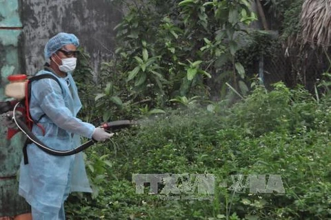HCM City records increasing dengue cases 