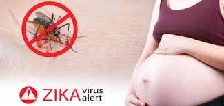 Singapore: 16 pregnant women infected with Zika 