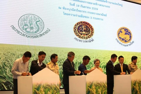 Thailand to set up rice megafarms
