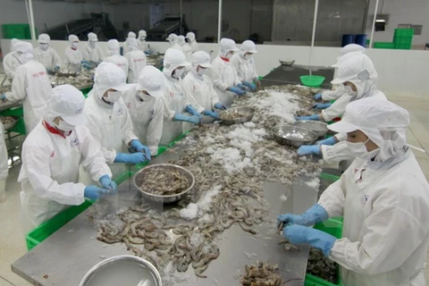 US keeps duties on Vietnamese frozen shrimp 