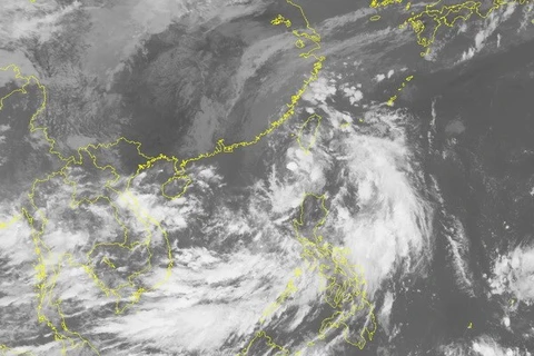 Typhoon Aere threatens coastal areas in northern, central regions