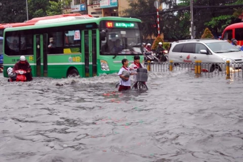 Vietnam makes efforts to minimize natural disaster risks