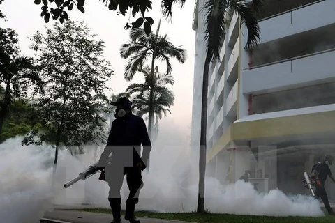 WHO warns of Zika virus spread in Asia-Pacific 