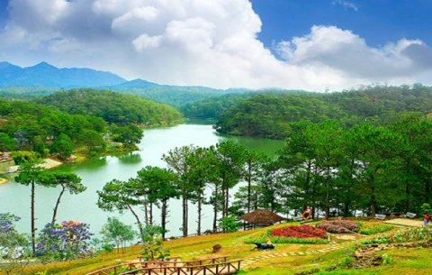 Da Lat’s homestay service attractive with unique design