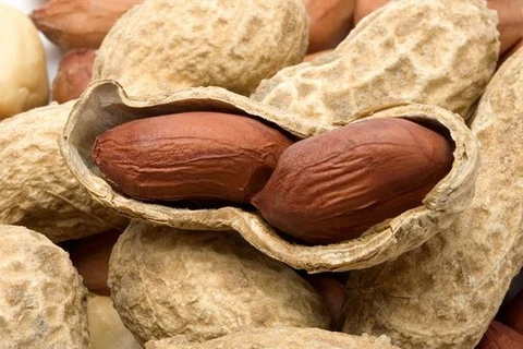 VN suspends import of US dried grains, peanuts from Sudan, Hong Kong
