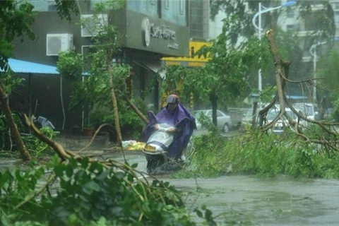 Storm Sarika weakens into tropical pressure