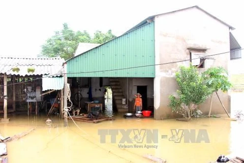 Italy helps Vietnam enhance flood warning capability